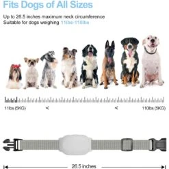 Petdiary T200 Waterproof Remote Dog Training Collar, White -PetSafe Kong Shop 514318 PT6. AC SS1800 V1658224252