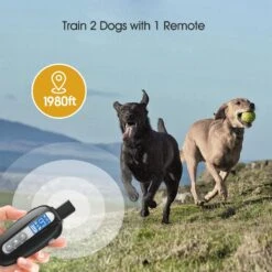 Petdiary T730 Dog Training Collar & Receiver, Black -PetSafe Kong Shop 514438 PT2. AC SS1800 V1657658059