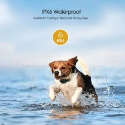 Petdiary T730 Dog Training Collar & Receiver, Black -PetSafe Kong Shop 514438 PT3. AC SS1800 V1657658058