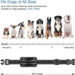 Petdiary T730 Dog Training Collar & Receiver, Black -PetSafe Kong Shop 514438 PT5. AC SS1800 V1658264445