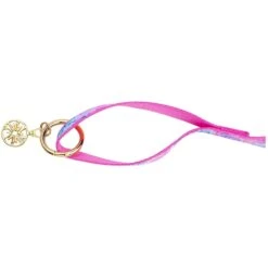 Lilly Pulitzer Splendor In The Sand Dog Leash, Light Blue, 6-ft 5 Lilly Pulitzer Splendor In The Sand Dog Leash, Light Blue, 6-ft -PetSafe Kong Shop 514622 PT2. AC SS1800 V1649181706