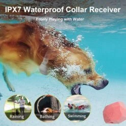 Bousnic Short Hair Remote Dog Training Collar, 2 Count 9 Bousnic Short Hair Remote Dog Training Collar, 2 Count -PetSafe Kong Shop 518350 PT2. AC SS1800 V1697733667