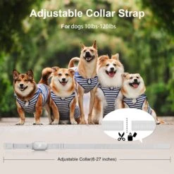 Bousnic Short Hair Remote Dog Training Collar, 2 Count 11 Bousnic Short Hair Remote Dog Training Collar, 2 Count -PetSafe Kong Shop 518350 PT4. AC SS1800 V1697754238