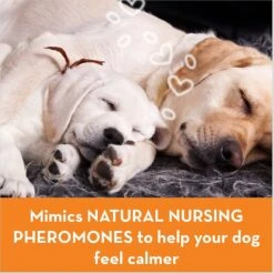 ThunderEase Pheromone Calming Spray For Dogs & ThunderEase Calming Diffuser For Dogs -PetSafe Kong Shop 520022 PT3. AC SS1800 V1651773705