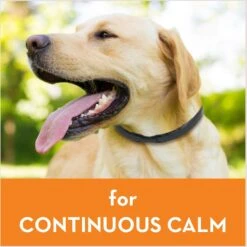 ThunderEase Calming Collar For Dogs & ThunderEase Calming Diffuser For Dogs 12 ThunderEase Calming Collar For Dogs & ThunderEase Calming Diffuser For Dogs -PetSafe Kong Shop 520030 PT3. AC SS1800 V1650640289