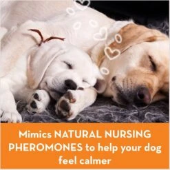 ThunderEase Calming Collar For Dogs & ThunderEase Calming Diffuser For Dogs 17 ThunderEase Calming Collar For Dogs & ThunderEase Calming Diffuser For Dogs -PetSafe Kong Shop 520030 PT8. AC SS1800 V1650640283