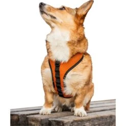 K9 Sport Sack Dog Harness
