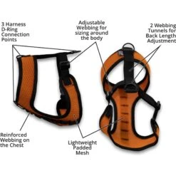 K9 Sport Sack Dog Harness -PetSafe Kong Shop 520558 PT4. AC SS1800 V1660932039