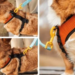 K9 Sport Sack Dog Harness -PetSafe Kong Shop 520558 PT7. AC SS1800 V1660933136