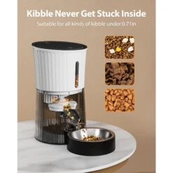 PATPET Timed Automatic Smart Feeder For Dog & Cat Food Dispenser With 10s Voice Recorder, 4-L -PetSafe Kong Shop 521686 PT4. AC SS1800 V1685464718