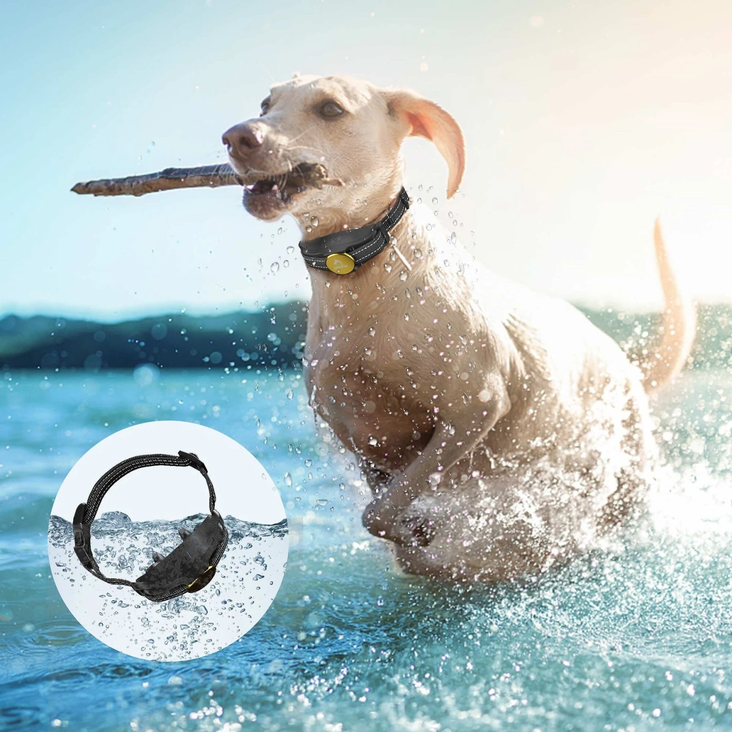 PATPET P320B NFC ID Pet Tag & 1000-ft Remote Dog Training Collar, Black, 2 Count 2 PATPET P320B NFC ID Pet Tag & 1000-ft Remote Dog Training Collar, Black, 2 Count - Image 2