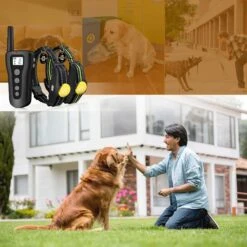 PATPET P320B NFC ID Pet Tag & 1000-ft Remote Dog Training Collar, Black, 2 Count 14 PATPET P320B NFC ID Pet Tag & 1000-ft Remote Dog Training Collar, Black, 2 Count -PetSafe Kong Shop 522862 PT6. AC SS1800 V1668026184