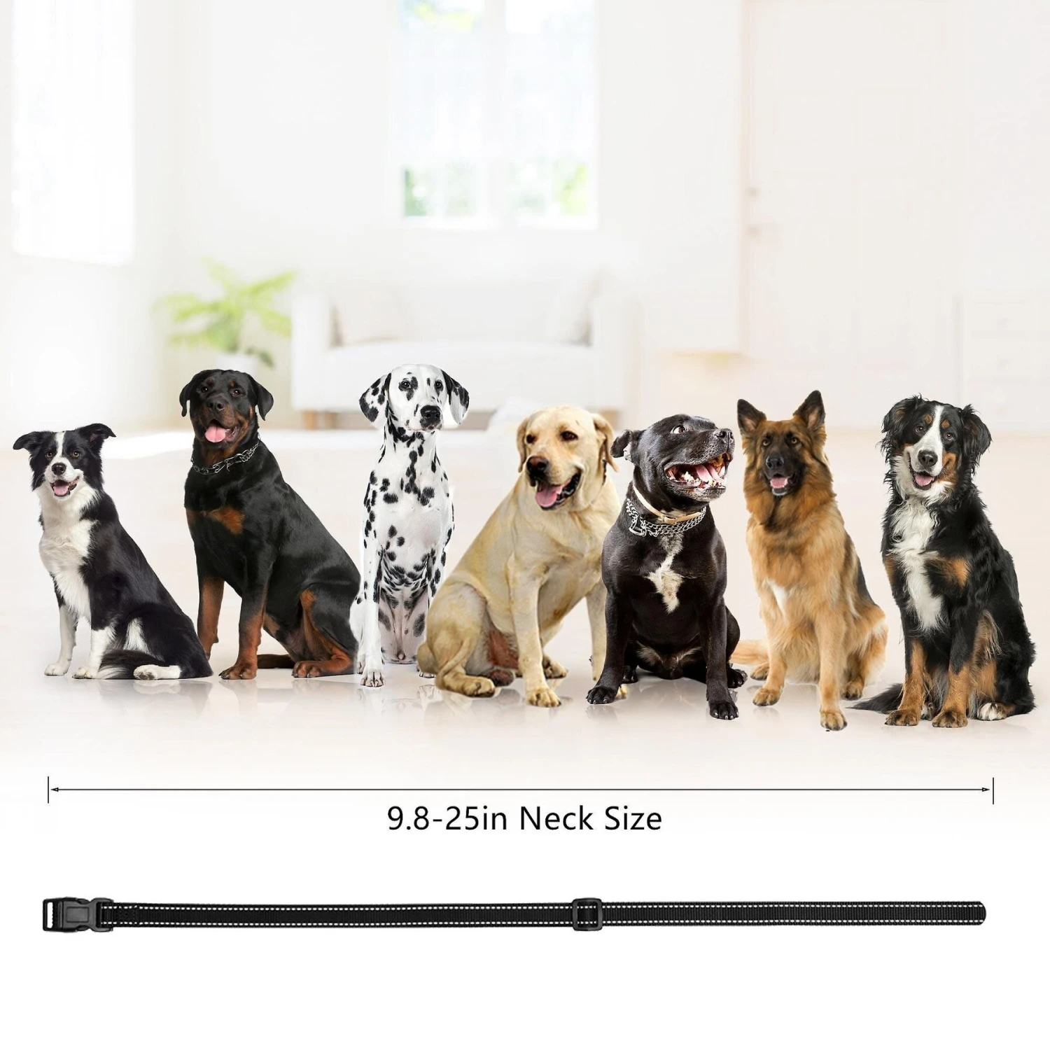 PATPET P320B NFC ID Pet Tag & 1000-ft Remote Dog Training Collar, Black, 2 Count 8 PATPET P320B NFC ID Pet Tag & 1000-ft Remote Dog Training Collar, Black, 2 Count - Image 8