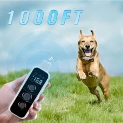PATPET NFC ID Pet Tag & P650 1000-ft Remote Dog Training Shock Collar, Gray -PetSafe Kong Shop 522878 PT4. AC SS1800 V1668025812