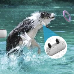 PATPET NFC ID Pet Tag & P650 1000-ft Remote Dog Training Shock Collar, Gray -PetSafe Kong Shop 522878 PT5. AC SS1800 V1668025755