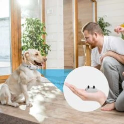 PATPET NFC ID Pet Tag & P650 1000-ft Remote Dog Training Shock Collar, Gray -PetSafe Kong Shop 522878 PT6. AC SS1800 V1652984784