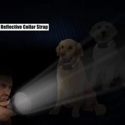 PATPET NFC ID Pet Tag & Lightweight Remote Dog Training Electric Collar, Black, 2 Count -PetSafe Kong Shop 522894 PT5. AC SS1800 V1657658479