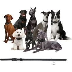 PATPET NFC ID Pet Tag & Lightweight Remote Dog Training Electric Collar, Black, 2 Count -PetSafe Kong Shop 522894 PT6. AC SS1800 V1668026552