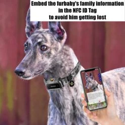 PATPET NFC Pet ID Tag & P920 1300-m Remote Dog Training Electric Shock Collar, Meisai, 2 Count -PetSafe Kong Shop 522910 PT3. AC SS1800 V1668026554