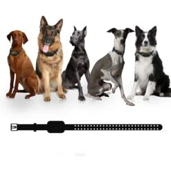 PATPET NFC Pet ID Tag & P910 3000-ft Outdoor Remote Dog Training Shock ECollar, Black, 2 Count -PetSafe Kong Shop 522926 PT7. AC SS1800 V1668025394