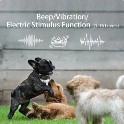 PATPET P360 Mini Remote Small Medium Dog Training Electric Collar, Black, 2 Count -PetSafe Kong Shop 522942 PT1. AC SS1800 V1652982103