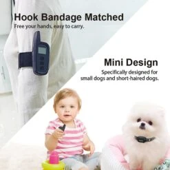 PATPET P360 Mini Remote Small Medium Dog Training Electric Collar, Black, 2 Count -PetSafe Kong Shop 522942 PT3. AC SS1800 V1652976988