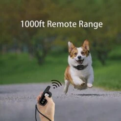 PATPET P360 Mini Remote Small Medium Dog Training Electric Collar, Black, 2 Count -PetSafe Kong Shop 522942 PT4. AC SS1800 V1652984781