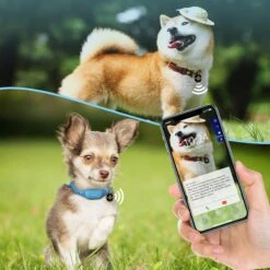 PATPET P680 NFC Pet ID Tag Bark & Remote Dog Training Electric Collar -PetSafe Kong Shop 522974 PT3. AC SS1800 V1668027277