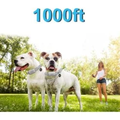 PATPET NFC Pet ID Tag & P651 1000-ft Vibration & Beep Remote Dog Training Collar, Gray, 2 Count -PetSafe Kong Shop 522990 PT2. AC SS1800 V1668026927