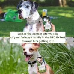 PATPET NFC Pet ID Tag & P651 1000-ft Vibration & Beep Remote Dog Training Collar, Gray, 2 Count -PetSafe Kong Shop 522990 PT3. AC SS1800 V1668027276