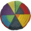 FouFIT Hide 'n Seek Disc Dog Toys, Multicolor