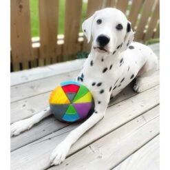 FouFIT Hide 'n Seek Disc Dog Toys, Multicolor 8 FouFIT Hide 'n Seek Disc Dog Toys, Multicolor -PetSafe Kong Shop 528302 PT3. AC SS1800 V1657658561