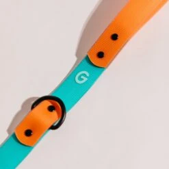 Good Trouble Everyday Coated Nylon Dog Leashes -PetSafe Kong Shop 529590 PT3. AC SS1800 V1657658567