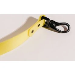 Good Trouble Everyday Coated Nylon Dog Leashes -PetSafe Kong Shop 529590 PT4. AC SS1800 V1651164406
