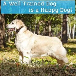 PetSpy P420 1500-ft Range Easy & Effective Adjustable Waterproof Remote Control Dog Training Collar -PetSafe Kong Shop 531390 PT4. AC SS1800 V1659028196