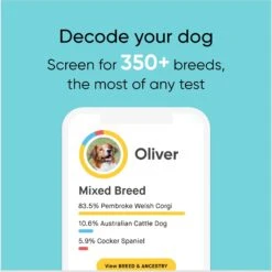 Embark Dog DNA Test For Purebred Dogs -PetSafe Kong Shop 531422 PT3. AC SS1800 V1682529134