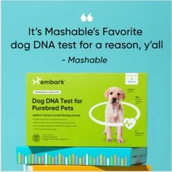 Embark Dog DNA Test For Purebred Dogs -PetSafe Kong Shop 531422 PT6. AC SS1800 V1682528996