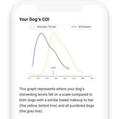 Embark Dog DNA Test For Purebred Dogs -PetSafe Kong Shop 531422 PT7. AC SS1800 V1682528996