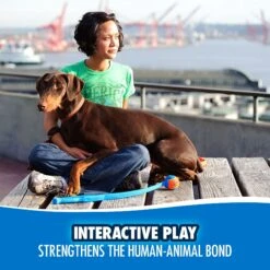 Chuckit! Junior Launcher Dog Toy, Color Varies -PetSafe Kong Shop 53212 PT4. AC SS1800 V1531444924