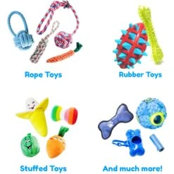 Pacific Pups Rescue Rope & Chew Dog Toy Variety Pack, 18 Count -PetSafe Kong Shop 532254 PT1. AC SS1800 V1692805975