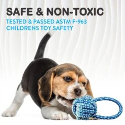 Pacific Pups Rescue Rope & Chew Dog Toy Variety Pack, 18 Count -PetSafe Kong Shop 532254 PT2. AC SS1800 V1692806970