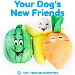 Pacific Pups Rescue Rope & Chew Dog Toy Variety Pack, 18 Count -PetSafe Kong Shop 532254 PT6. AC SS1800 V1692805976