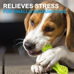 Pacific Pups Rescue Rope & Chew Dog Toy Variety Pack, 18 Count -PetSafe Kong Shop 532254 PT7. AC SS1800 V1692805970