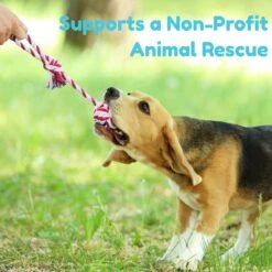 Pacific Pups Rescue Rope & Chew Dog Toy Variety Pack, 18 Count -PetSafe Kong Shop 532254 PT8. AC SS1800 V1692805976