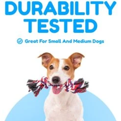 Pacific Pups Rescue Rope Dog Toy Variety Pack, 5 Count -PetSafe Kong Shop 532270 PT2. AC SS1800 V1657658629