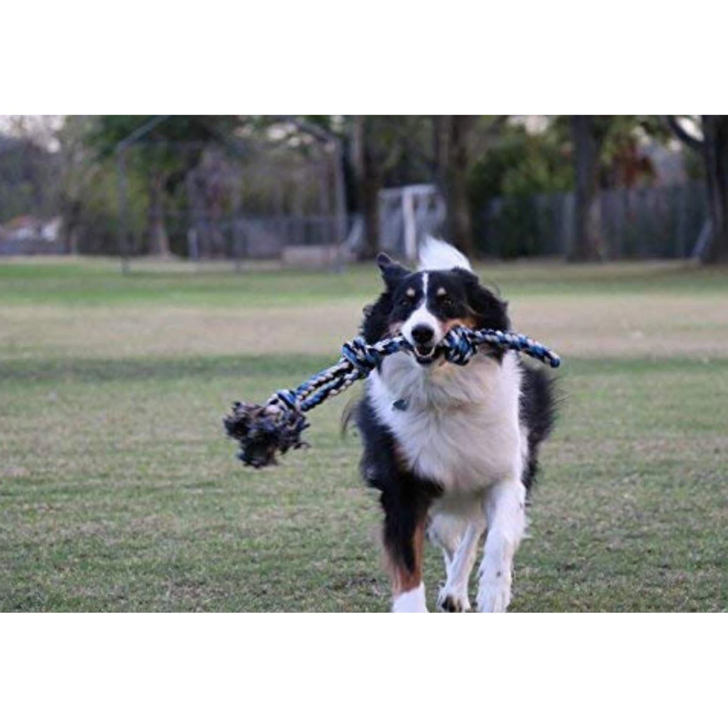 Pacific Pups Rescue Rope Tug Dog Toy, Large 5 Pacific Pups Rescue Rope Tug Dog Toy, Large - Image 5