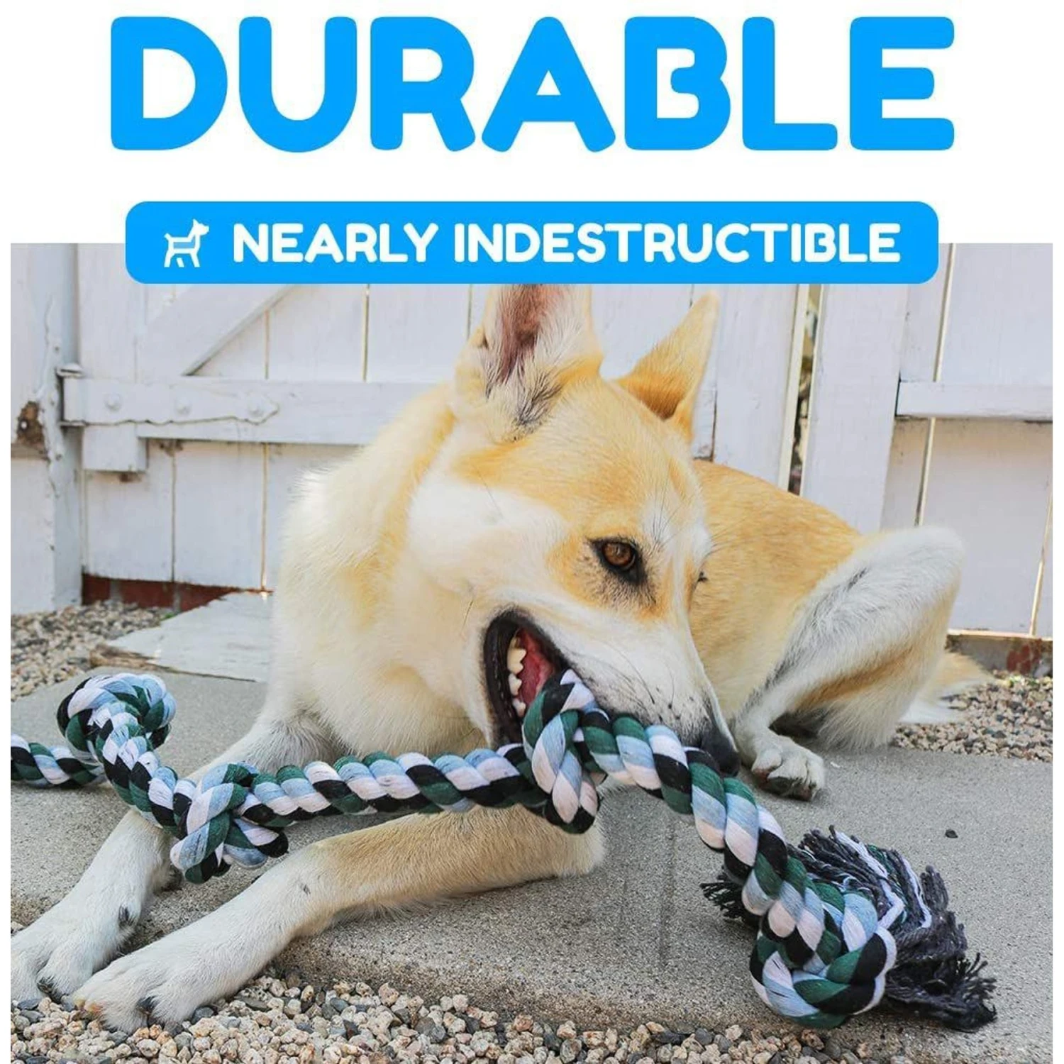 Pacific Pups Rescue Knotted Rope Tug Dog Toy, Blue, X-Large 3 Pacific Pups Rescue Knotted Rope Tug Dog Toy, Blue, X-Large - Image 3