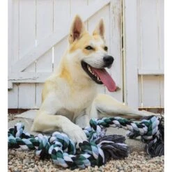 Pacific Pups Rescue Knotted Rope Tug Dog Toy, Blue, X-Large 13 Pacific Pups Rescue Knotted Rope Tug Dog Toy, Blue, X-Large -PetSafe Kong Shop 532310 PT6. AC SS1800 V1657658630