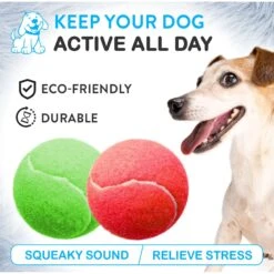 Pacific Pups Rescue Ball Dog Toy Variety Pack, 6 Count -PetSafe Kong Shop 532326 PT2. AC SS1800 V1692805971