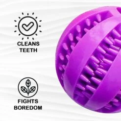 Pacific Pups Rescue Ball Dog Toy Variety Pack, 6 Count -PetSafe Kong Shop 532326 PT4. AC SS1800 V1692805975